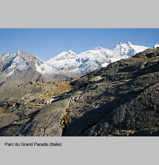 grand_paradis/paradis11.jpg