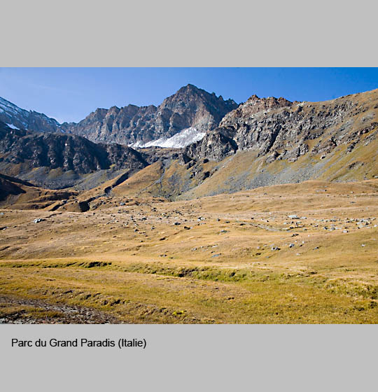 grand_paradis/paradis12.jpg