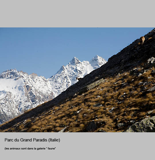 grand_paradis/paradis13.jpg