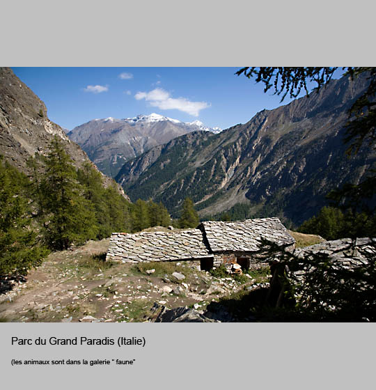 grand_paradis/paradis14.jpg