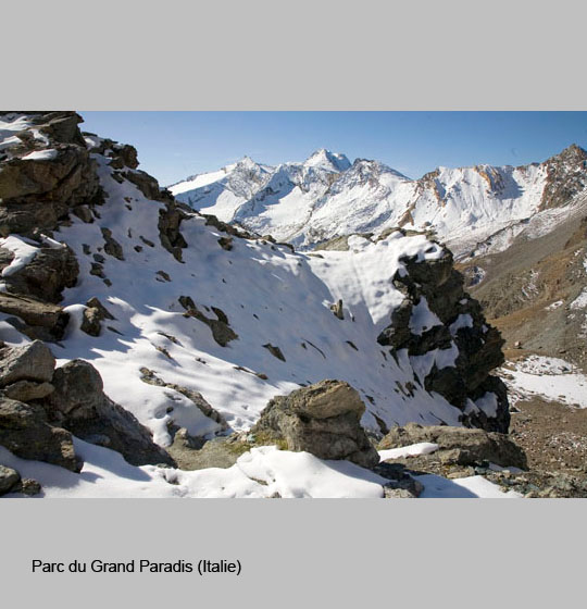 grand_paradis/paradis3.jpg