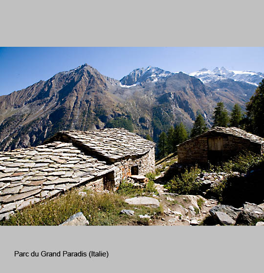 grand_paradis/paradis4.jpg
