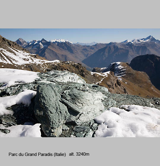 grand_paradis/paradis5.jpg
