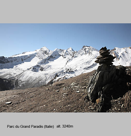 grand_paradis/paradis6.jpg
