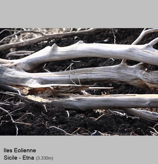 ile_eolienne/etna/etna18.jpg