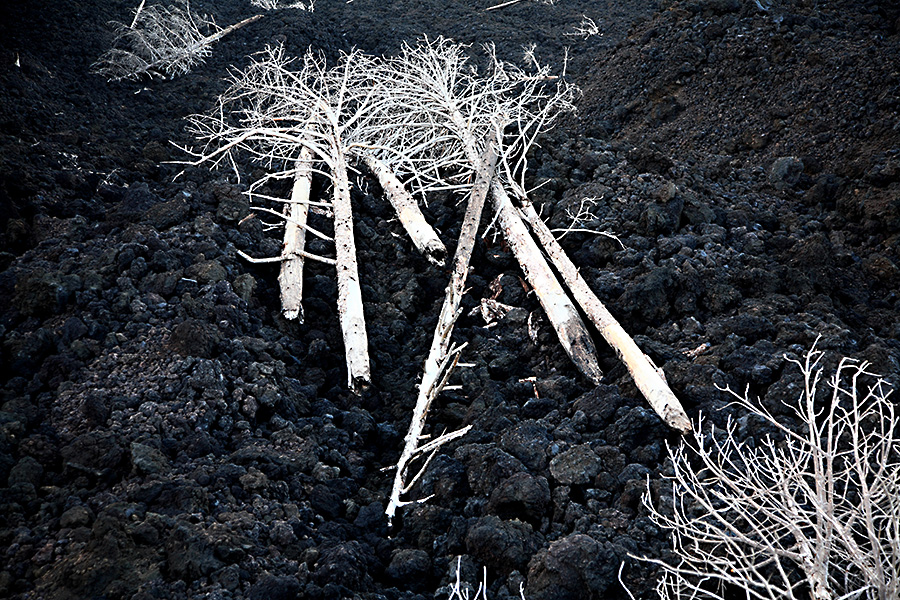 ile_eolienne/etna/etna7.jpg