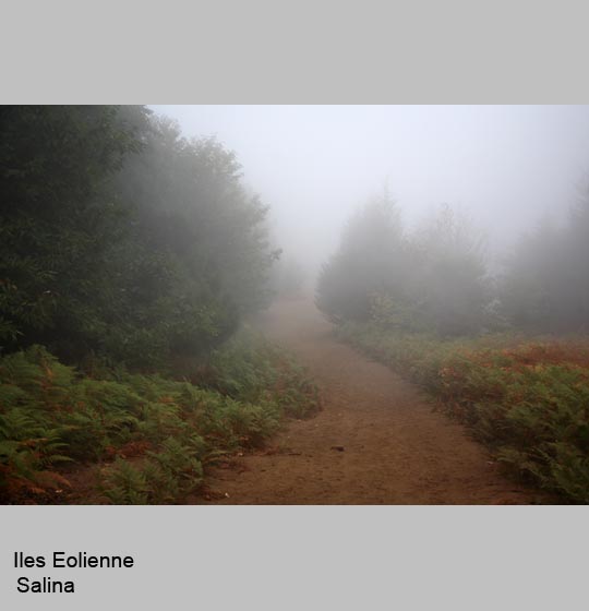 ile_eolienne/salina/salina5.jpg