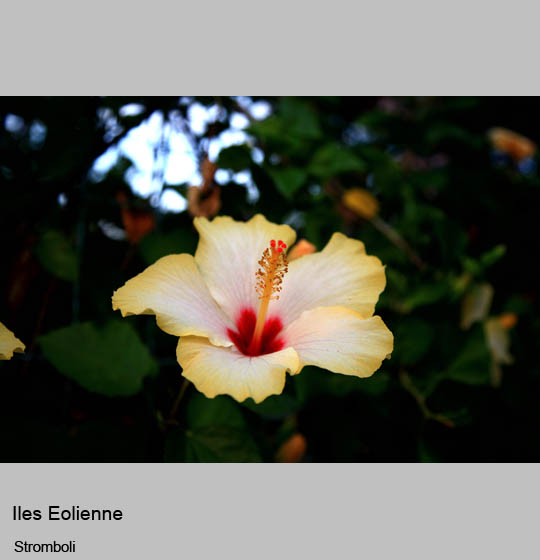 ile_eolienne/stromboli/stromboli7_2.jpg