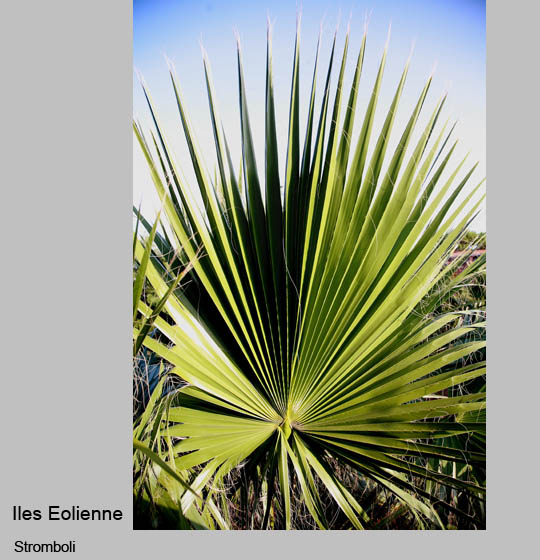 ile_eolienne/stromboli/stromboli7_3.jpg