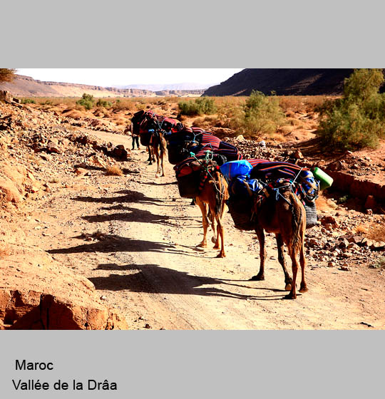 maroc/maroc11.jpg