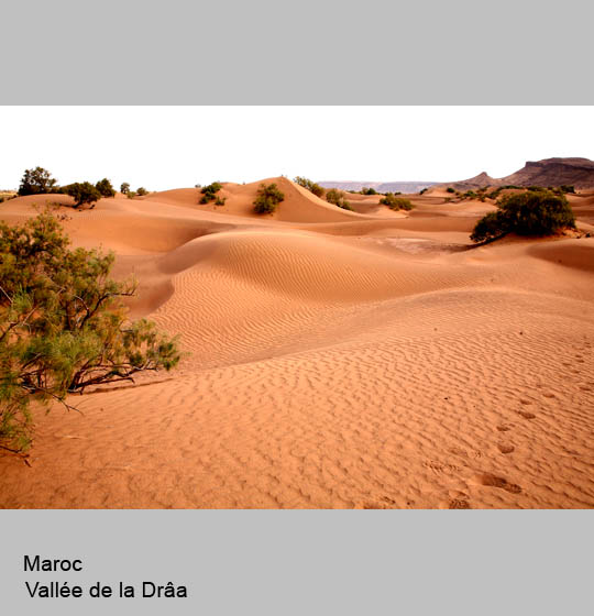 maroc/maroc25.jpg