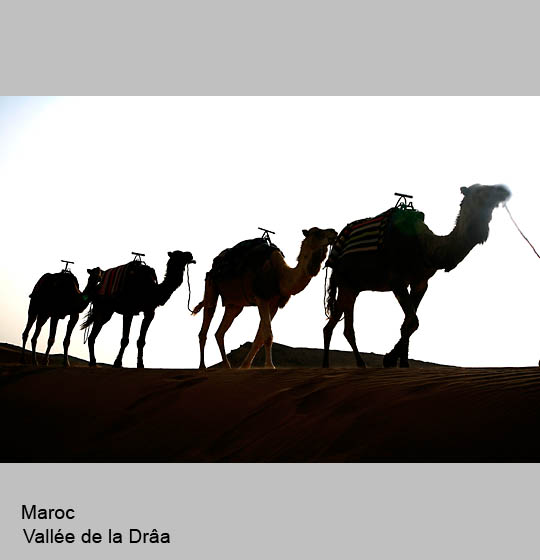 maroc/maroc30.jpg