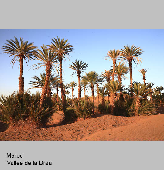 maroc/maroc35.jpg