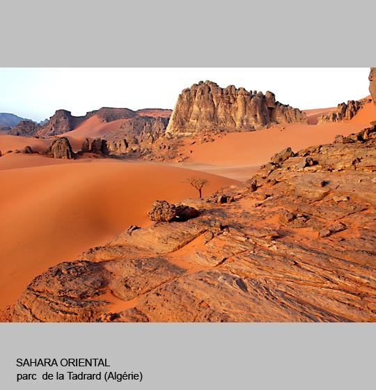 sahara/sahara1.jpg