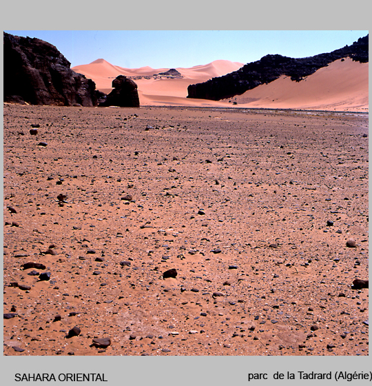 sahara/sahara12.jpg