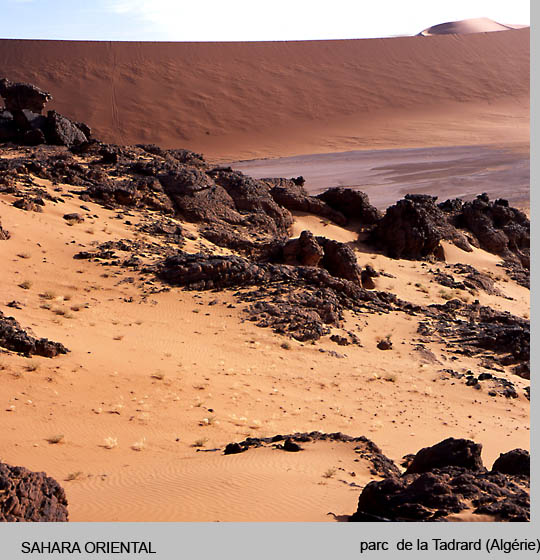 sahara/sahara16.jpg