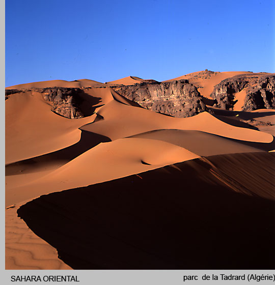 sahara/sahara3.jpg