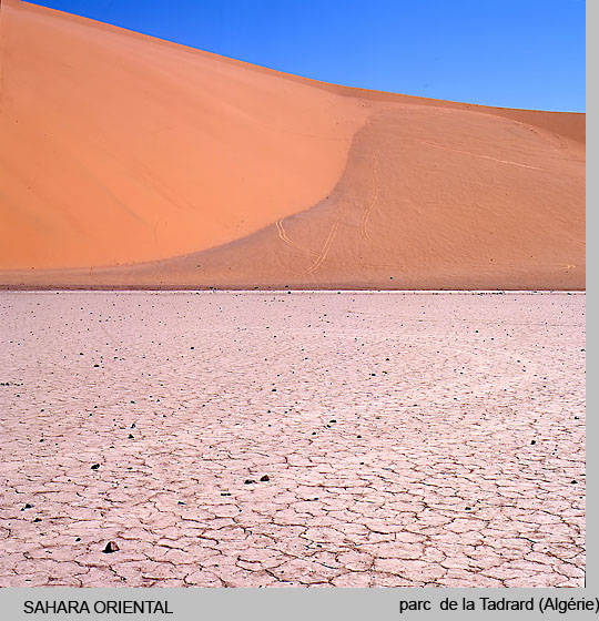 sahara/sahara4.jpg