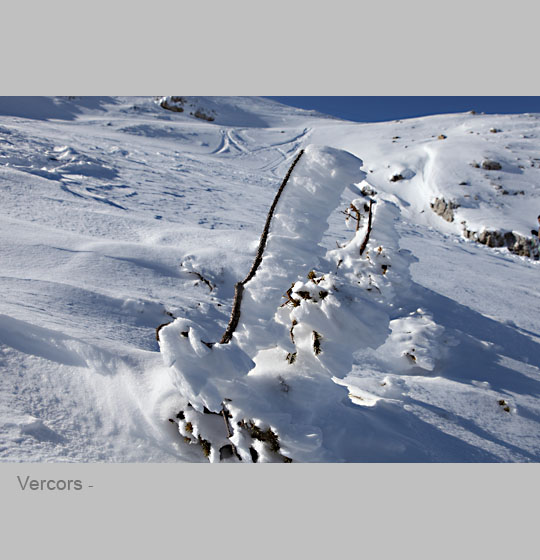 vercors/vercors16.jpg