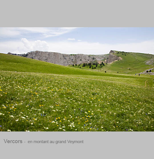 vercors/vercors3.jpg